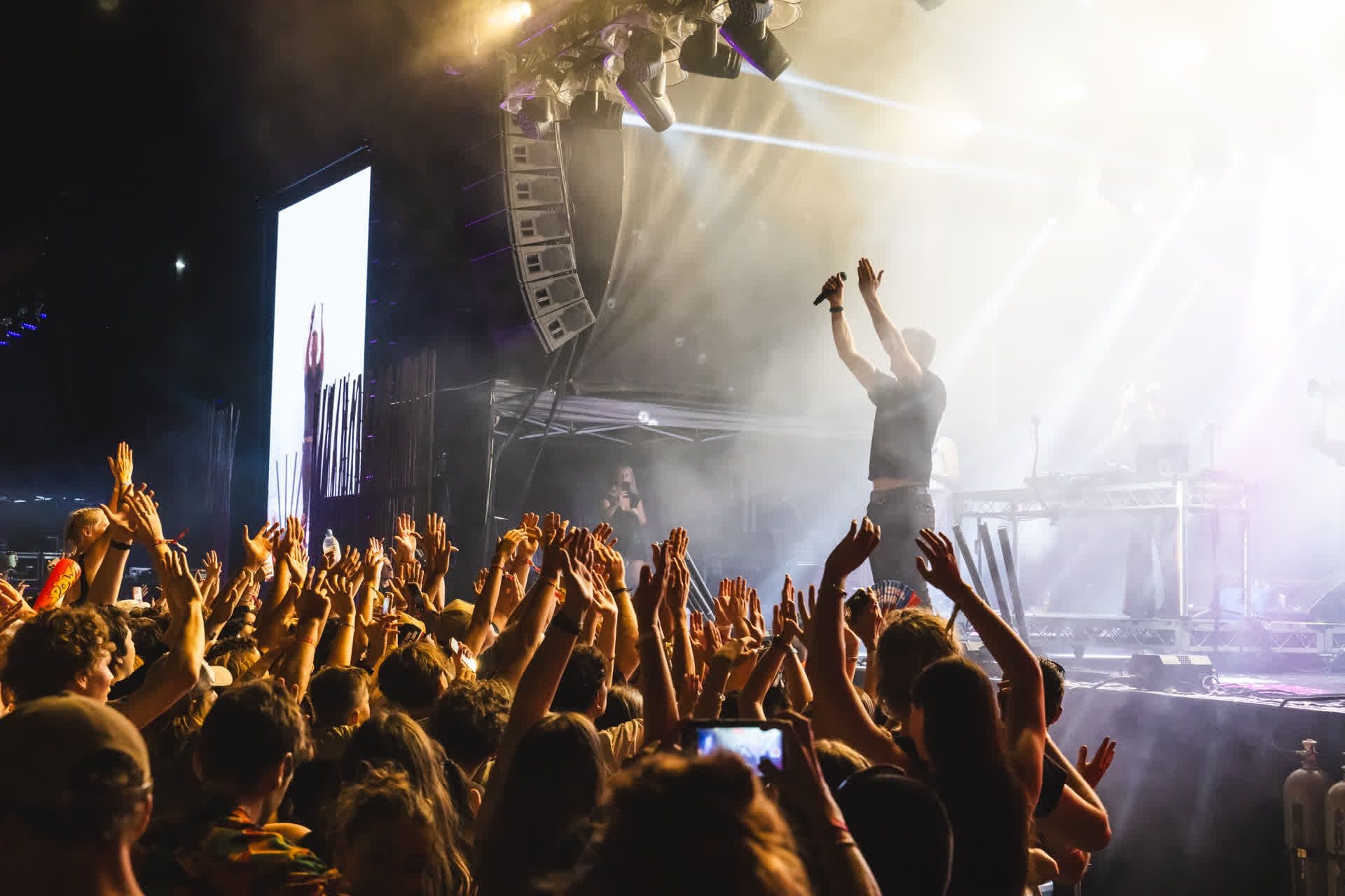 Concert scene with a singer on stage, hands raised in the air, vibrant lights, and an enthusiastic crowd capturing the moment.