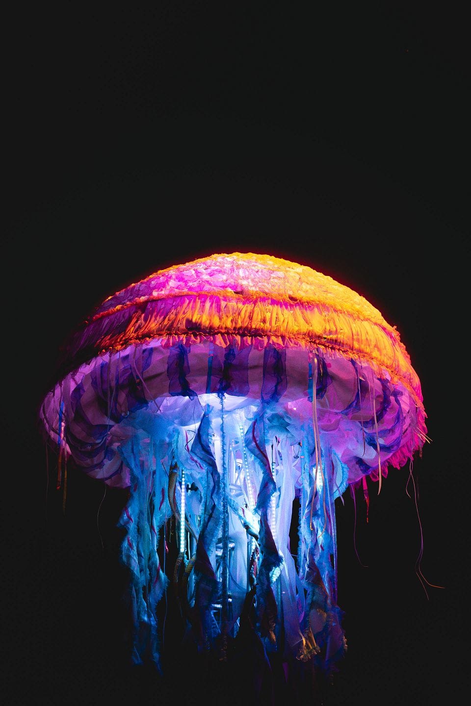 A glowing jellyfish with vibrant orange, pink, and blue hues against a dark background.